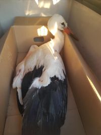  / Новини от Казанлък