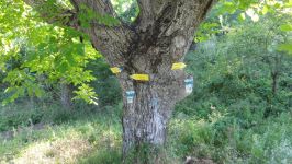  / Новини от Казанлък