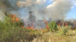  / Новини от Казанлък