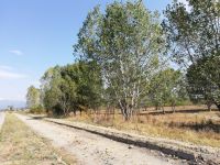  / Новини от Казанлък