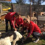  / Новини от Казанлък