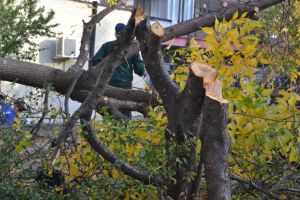  / Новини от Казанлък