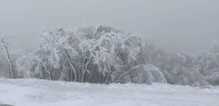  / Новини от Казанлък