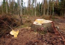  / Новини от Казанлък