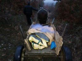  / Новини от Казанлък