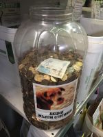  / Новини от Казанлък