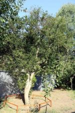  / Новини от Казанлък