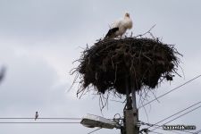  / Новини от Казанлък