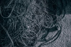  / Новини от Казанлък