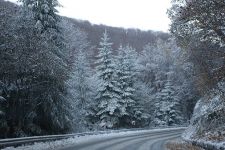  / Новини от Казанлък