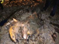  / Новини от Казанлък