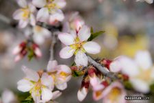 Времето се затопля, очаква ни слънце през цялата седмица / Новини от Казанлък