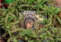  / Новини от Казанлък