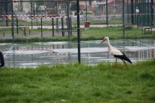  / Новини от Казанлък