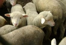  / Новини от Казанлък