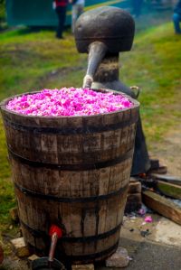  / Новини от Казанлък