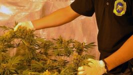  / Новини от Казанлък