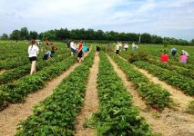  / Новини от Казанлък