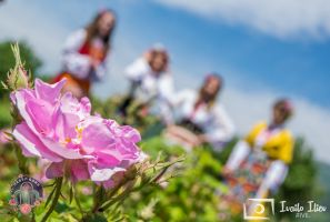  / Новини от Казанлък