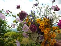  / Новини от Казанлък