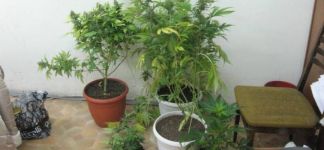  / Новини от Казанлък