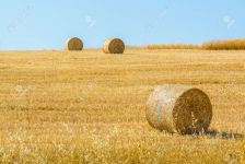  / Новини от Казанлък