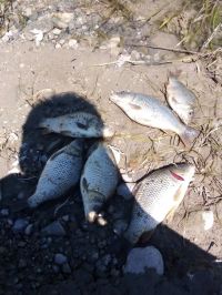  / Новини от Казанлък