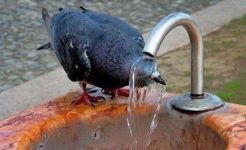  / Новини от Казанлък