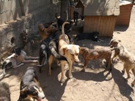  / Новини от Казанлък