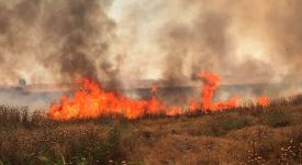  / Новини от Казанлък