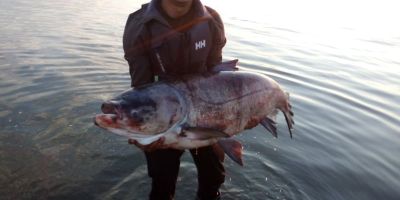  / Новини от Казанлък