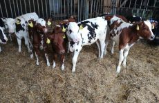  / Новини от Казанлък