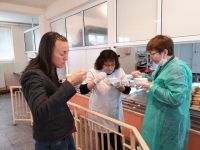  / Новини от Казанлък