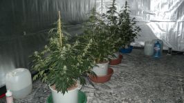  / Новини от Казанлък