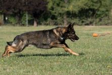  / Новини от Казанлък