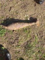  / Новини от Казанлък