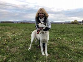  / Новини от Казанлък