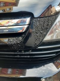  / Новини от Казанлък