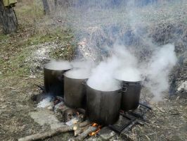 Шипченци отново отпразнуваха Трифон Зарезан с курбан, но вкъщи / Новини от Казанлък