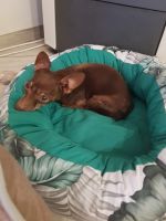  / Новини от Казанлък