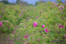  / Новини от Казанлък