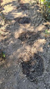  / Новини от Казанлък