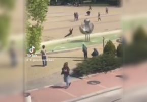  / Новини от Казанлък