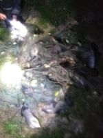  / Новини от Казанлък