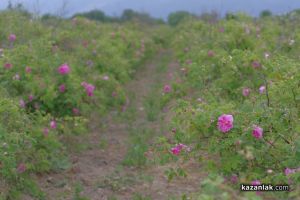  / Новини от Казанлък