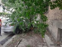  / Новини от Казанлък