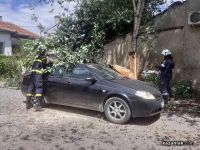  / Новини от Казанлък