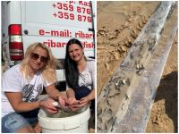  / Новини от Казанлък