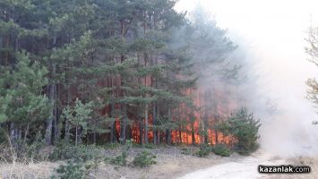  / Новини от Казанлък