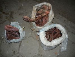  / Новини от Казанлък